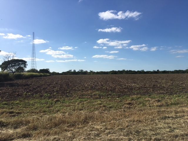 Interstate 69E Development Land: Interstate 69E - Frontage, Raymondville, TX 78580